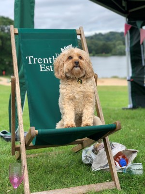 Trentham Dog Membership